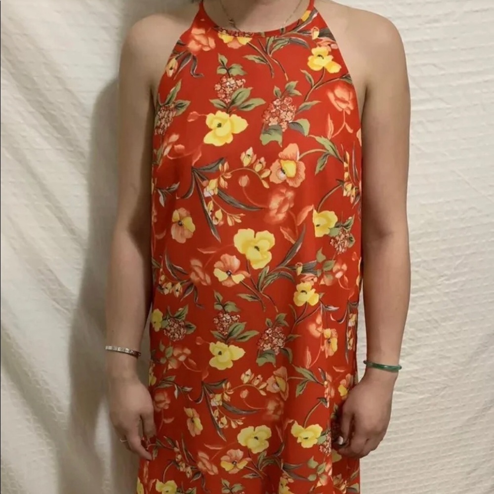 Jack mulqueen dress women